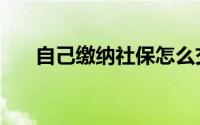 自己缴纳社保怎么交（如何缴纳社保）