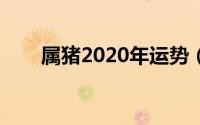 属猪2020年运势（运势及运程介绍）