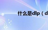 什么是dlp（dlp dlp的简介）