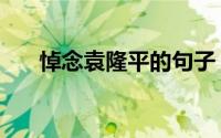 悼念袁隆平的句子（悼念袁隆平句子）