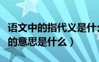 语文中的指代义是什么意思（语文中的指代义的意思是什么）