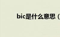 bic是什么意思（bic意思是什么）