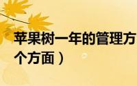 苹果树一年的管理方法（苹果树一年管理的6个方面）