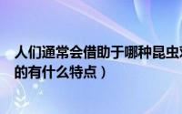 人们通常会借助于哪种昆虫对湿地水质进行监测（该种动物的有什么特点）