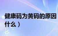 健康码为黄码的原因（健康码为黄码的原因是什么）