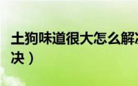 土狗味道很大怎么解决（土狗味道很大如何解决）