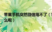 苹果手机突然微信用不了（苹果手机不能用微信的原因是什么呢）