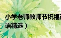 小学老师教师节祝福语（小学老师教师节祝福语精选）