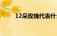 12朵玫瑰代表什么（有知道的吗）