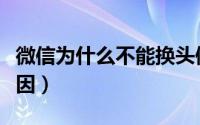 微信为什么不能换头像（微信头像不能换的原因）