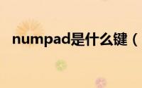 numpad是什么键（numpad1是哪个键）