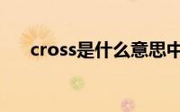 cross是什么意思中文（cross的意思）