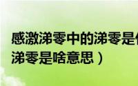 感激涕零中的涕零是什么意思（感激涕零中的涕零是啥意思）