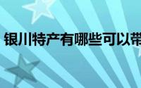 银川特产有哪些可以带（银川十大特产介绍）