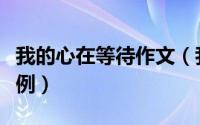 我的心在等待作文（我的心在等待作文范文示例）