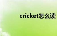 cricket怎么读（cricket解释）