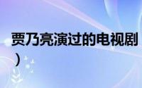 贾乃亮演过的电视剧（灿烂人生和满天星等等）