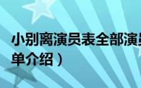 小别离演员表全部演员介绍（小别离演员表简单介绍）