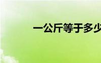 一公斤等于多少克（公斤介绍）