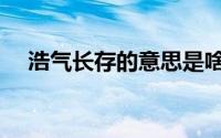 浩气长存的意思是啥（浩气长存的解释）