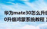 华为mate30怎么升级鸿蒙系统（华为mate30升级鸿蒙系统教程）