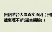 贵阳茅台大厦真实原因（贵阳茅台大厦闹鬼事件真相深夜冤魂哀嚎不断(谣言揭秘)）