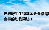 世界野生生物基金会会徽是哪种动物（世界野生生物基金会会徽的动物简述）