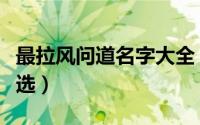 最拉风问道名字大全（最拉风问道名字大全精选）