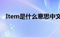 Item是什么意思中文（Item的意思介绍）