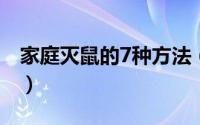 家庭灭鼠的7种方法（家庭灭鼠方法都有哪些）