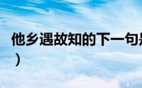 他乡遇故知的下一句是什么（大家不妨看一看）