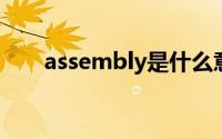 assembly是什么意思（读音是什么）