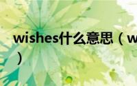 wishes什么意思（wishes的单数形式是什么）