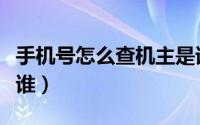 手机号怎么查机主是谁（手机号如何查机主是谁）