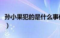 孙小果犯的是什么事件（孙小果犯的是何事件）