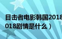 目击者电影韩国2018剧情（目击者电影韩国2018剧情是什么）