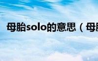 母胎solo的意思（母胎solo的意思是什么）