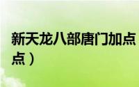 新天龙八部唐门加点（新天龙八部唐门如何加点）