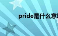 pride是什么意思（pride解释）