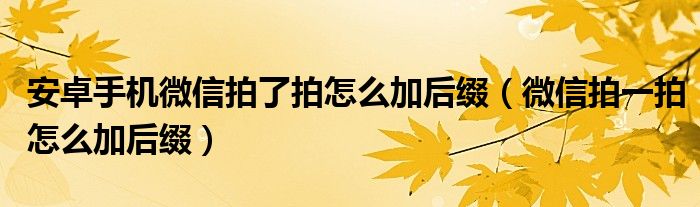 安卓手机微信拍了拍怎么加后缀（微信拍一拍怎么加后缀）