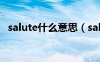 salute什么意思（salute中文是什么含义）