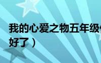 我的心爱之物五年级作文400字（范文写得太好了）