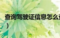 查询驾驶证信息怎么查（如何查询驾驶证信息）