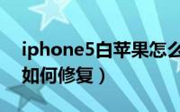 iphone5白苹果怎么修复（iphone5白苹果如何修复）