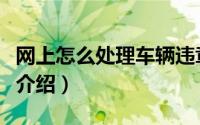 网上怎么处理车辆违章罚款和扣分（查询方法介绍）