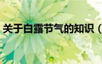 关于白露节气的知识（白露节气的知识介绍）