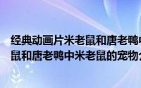 经典动画片米老鼠和唐老鸭中米老鼠的宠物是（动画片米老鼠和唐老鸭中米老鼠的宠物介绍）