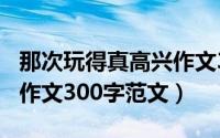 那次玩得真高兴作文300字（那次玩得真高兴作文300字范文）