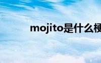 mojito是什么梗（mojito解释）