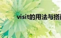 visit的用法与搭配（是什么意思）